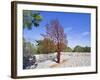 Yad Vashem Holocaust Memorial, Partisans Panorama Memorial Tree, Mount Herzl, Jerusalem, Israel-Gavin Hellier-Framed Photographic Print