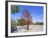 Yad Vashem Holocaust Memorial, Partisans Panorama Memorial Tree, Mount Herzl, Jerusalem, Israel-Gavin Hellier-Framed Photographic Print