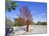 Yad Vashem Holocaust Memorial, Partisans Panorama Memorial Tree, Mount Herzl, Jerusalem, Israel-Gavin Hellier-Mounted Photographic Print