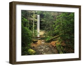 Yahoo Falls, Big South Fork National River and Recreation Area, Kentucky, USA-Adam Jones-Framed Premium Photographic Print