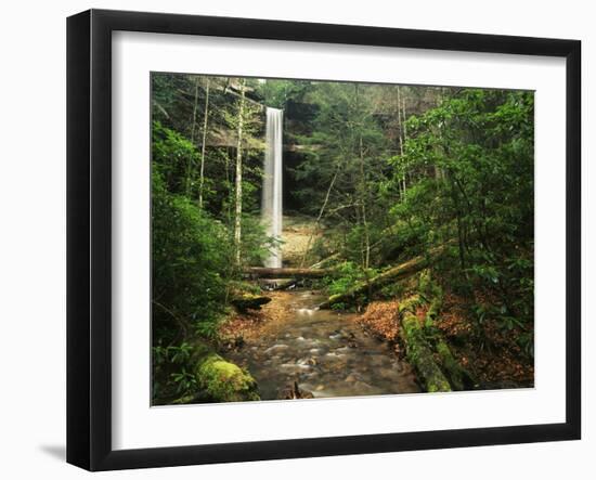 Yahoo Falls, Big South Fork National River and Recreation Area, Kentucky, USA-Adam Jones-Framed Premium Photographic Print