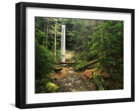 Yahoo Falls, Big South Fork National River and Recreation Area, Kentucky, USA-Adam Jones-Framed Premium Photographic Print