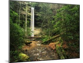 Yahoo Falls, Big South Fork National River and Recreation Area, Kentucky, USA-Adam Jones-Mounted Premium Photographic Print