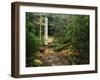 Yahoo Falls, Big South Fork National River and Recreation Area, Kentucky, USA-Adam Jones-Framed Photographic Print