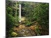 Yahoo Falls, Big South Fork National River and Recreation Area, Kentucky, USA-Adam Jones-Mounted Photographic Print