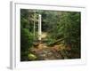 Yahoo Falls, Big South Fork National River and Recreation Area, Kentucky, USA-Adam Jones-Framed Photographic Print