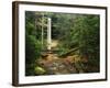 Yahoo Falls, Big South Fork National River and Recreation Area, Kentucky, USA-Adam Jones-Framed Photographic Print