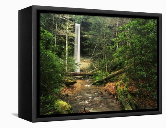 Yahoo Falls, Big South Fork National River and Recreation Area, Kentucky, USA-Adam Jones-Framed Stretched Canvas