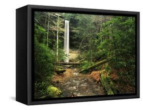 Yahoo Falls, Big South Fork National River and Recreation Area, Kentucky, USA-Adam Jones-Framed Stretched Canvas