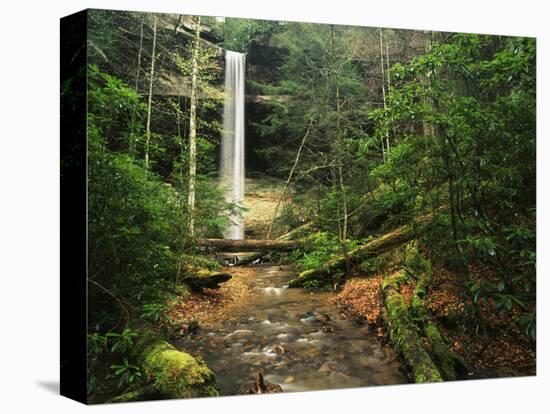 Yahoo Falls, Big South Fork National River and Recreation Area, Kentucky, USA-Adam Jones-Stretched Canvas