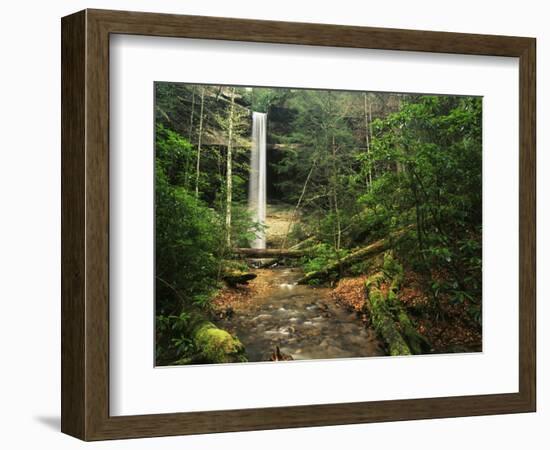 Yahoo Falls, Big South Fork National River and Recreation Area, Kentucky, USA-Adam Jones-Framed Photographic Print