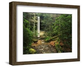 Yahoo Falls, Big South Fork National River and Recreation Area, Kentucky, USA-Adam Jones-Framed Photographic Print