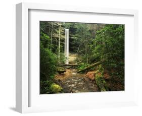 Yahoo Falls, Big South Fork National River and Recreation Area, Kentucky, USA-Adam Jones-Framed Photographic Print