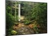 Yahoo Falls, Big South Fork National River and Recreation Area, Kentucky, USA-Adam Jones-Mounted Photographic Print