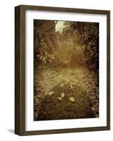 Yajo-Tim Kahane-Framed Photographic Print