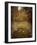 Yajo-Tim Kahane-Framed Photographic Print