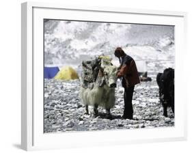 Yak and Sherpa, Nepal-Michael Brown-Framed Photographic Print