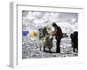 Yak and Sherpa, Nepal-Michael Brown-Framed Photographic Print