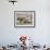 Yak-Drawn Plough in Barley Field High on Tibetan Plateau, Tibet, China-Tony Waltham-Framed Photographic Print displayed on a wall