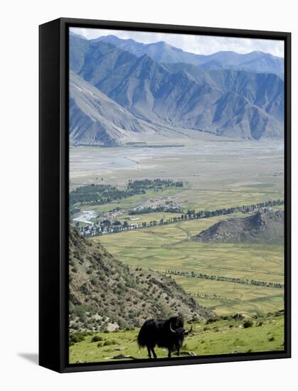 Yak, Ganden Monastery, Near Lhasa, Tibet, China-Ethel Davies-Framed Stretched Canvas