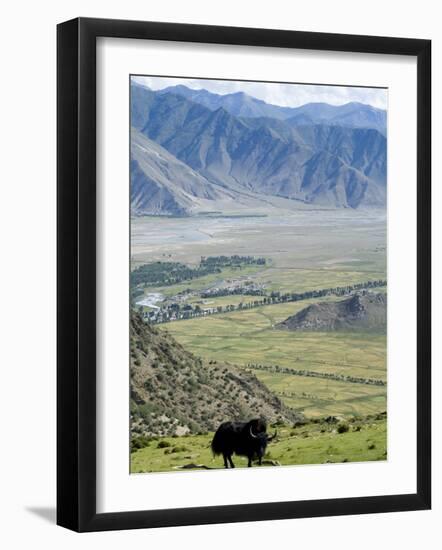 Yak, Ganden Monastery, Near Lhasa, Tibet, China-Ethel Davies-Framed Photographic Print