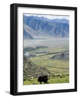 Yak, Ganden Monastery, Near Lhasa, Tibet, China-Ethel Davies-Framed Photographic Print