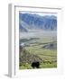 Yak, Ganden Monastery, Near Lhasa, Tibet, China-Ethel Davies-Framed Photographic Print