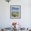 Yak, Ganden Monastery, Near Lhasa, Tibet, China-Ethel Davies-Framed Photographic Print displayed on a wall