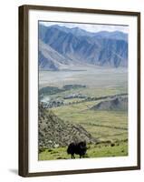 Yak, Ganden Monastery, Near Lhasa, Tibet, China-Ethel Davies-Framed Photographic Print