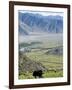 Yak, Ganden Monastery, Near Lhasa, Tibet, China-Ethel Davies-Framed Photographic Print