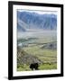 Yak, Ganden Monastery, Near Lhasa, Tibet, China-Ethel Davies-Framed Photographic Print