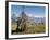 Yak Grazing on Top of the Pele La Mountain Pass with the Himalayas in the Background, Bhutan-Michael Runkel-Framed Photographic Print