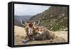 Yak in Drak Yerpa, Tibet, China, Asia-Thomas L-Framed Stretched Canvas