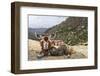 Yak in Drak Yerpa, Tibet, China, Asia-Thomas L-Framed Premium Photographic Print