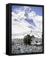 Yak in Front of Mount Everest-Michael Brown-Framed Stretched Canvas