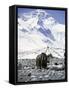 Yak in Front of Mount Everest-Michael Brown-Framed Stretched Canvas