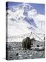 Yak in Front of Mount Everest-Michael Brown-Stretched Canvas