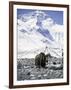 Yak in Front of Mount Everest-Michael Brown-Framed Premium Photographic Print