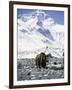 Yak in Front of Mount Everest-Michael Brown-Framed Premium Photographic Print