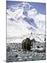 Yak in Front of Mount Everest-Michael Brown-Mounted Photographic Print