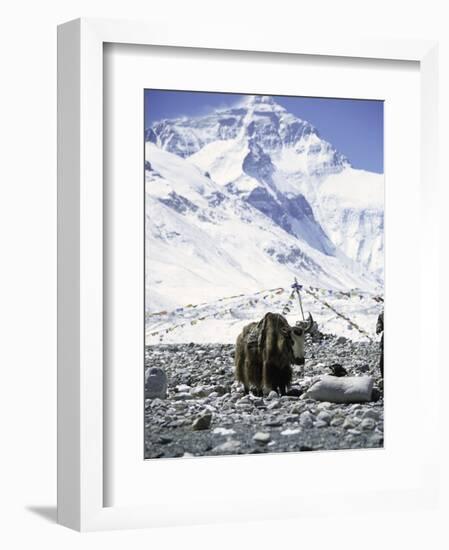 Yak in Front of Mount Everest-Michael Brown-Framed Photographic Print