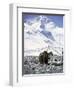 Yak in Front of Mount Everest-Michael Brown-Framed Photographic Print