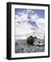 Yak in Front of Mount Everest-Michael Brown-Framed Photographic Print