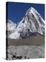 Yak on a Trail Below Kala Pattar and Pumori, 7165M, Sagarmatha National Park, Himalayas-Christian Kober-Stretched Canvas