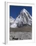 Yak on a Trail Below Kala Pattar and Pumori, 7165M, Sagarmatha National Park, Himalayas-Christian Kober-Framed Photographic Print