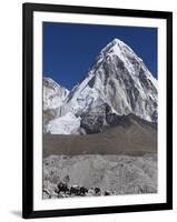 Yak on a Trail Below Kala Pattar and Pumori, 7165M, Sagarmatha National Park, Himalayas-Christian Kober-Framed Photographic Print