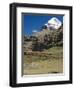 Yak Train Approaches Tarboche, Tibet, China-Anthony Waltham-Framed Photographic Print