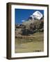 Yak Train Approaches Tarboche, Tibet, China-Anthony Waltham-Framed Photographic Print