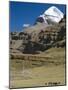 Yak Train Approaches Tarboche, Tibet, China-Anthony Waltham-Mounted Photographic Print