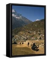 Yak Used for Transporting Goods Leaving the Village of Namche Bazaar in the Khumbu Region, Nepal-Wilson Ken-Framed Stretched Canvas